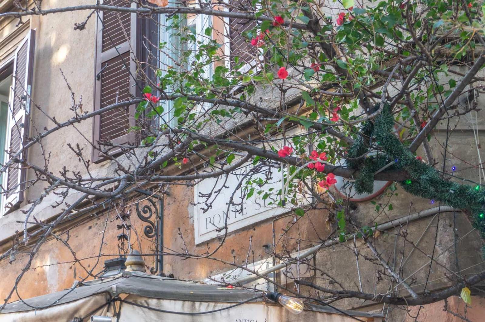 Lusso E Panorama Senza Paragoni, Loft Trastevere روما المظهر الخارجي الصورة